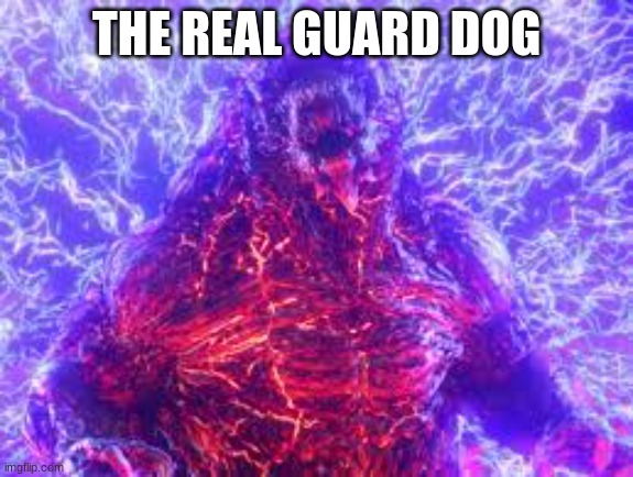 THE REAL GUARD DOG | made w/ Imgflip meme maker