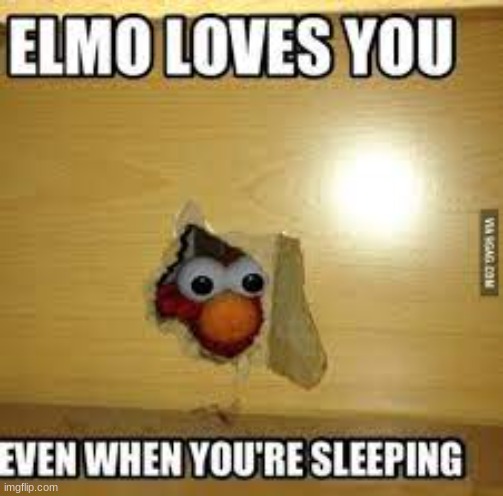 ELMO | image tagged in elmo | made w/ Imgflip meme maker