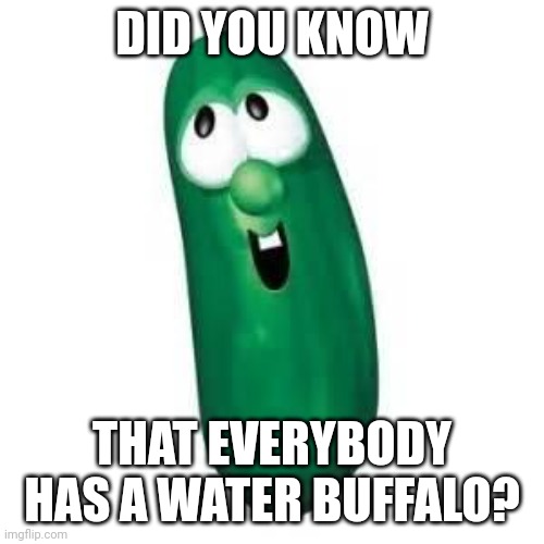 larry the cucumber did you know | DID YOU KNOW; THAT EVERYBODY HAS A WATER BUFFALO? | image tagged in larry the cucumber did you know | made w/ Imgflip meme maker