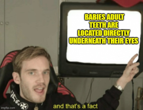 and that's a fact | BABIES ADULT TEETH ARE LOCATED DIRECTLY UNDERNEATH THEIR EYES | image tagged in and that's a fact | made w/ Imgflip meme maker