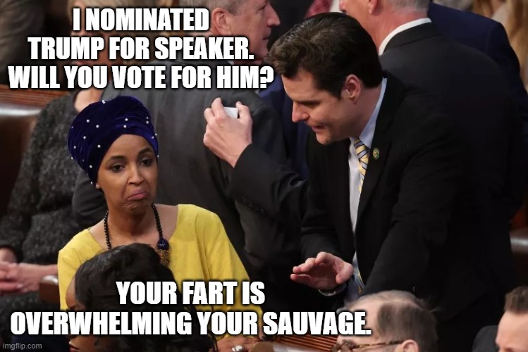 Gaetz and Omar | I NOMINATED TRUMP FOR SPEAKER. WILL YOU VOTE FOR HIM? YOUR FART IS OVERWHELMING YOUR SAUVAGE. | image tagged in gaetz and omar,memes,omar,gaetz | made w/ Imgflip meme maker