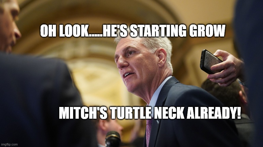 Run away! | OH LOOK.....HE'S STARTING GROW; MITCH'S TURTLE NECK ALREADY! | image tagged in turtle,republican,speaker,house,mitch | made w/ Imgflip meme maker