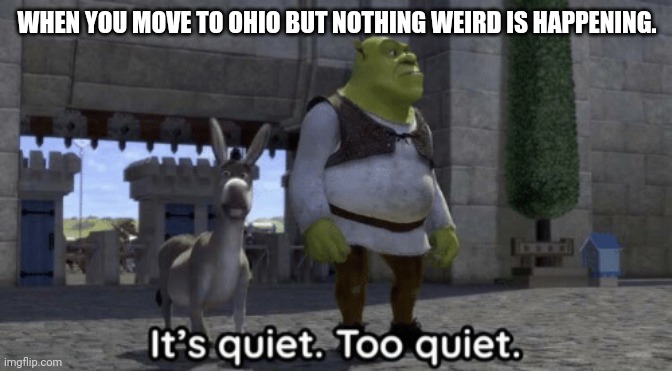 Only in Ohio ? | WHEN YOU MOVE TO OHIO BUT NOTHING WEIRD IS HAPPENING. | image tagged in it s quiet too quiet shrek,ohio | made w/ Imgflip meme maker