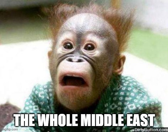 OH SHIT MONKEY | THE WHOLE MIDDLE EAST | image tagged in oh shit monkey | made w/ Imgflip meme maker