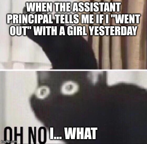 this happened to me once at my school no joke | WHEN THE ASSISTANT PRINCIPAL TELLS ME IF I "WENT OUT" WITH A GIRL YESTERDAY; I... WHAT | image tagged in oh no cat | made w/ Imgflip meme maker