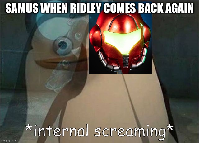 Private Internal Screaming | SAMUS WHEN RIDLEY COMES BACK AGAIN | image tagged in private internal screaming | made w/ Imgflip meme maker