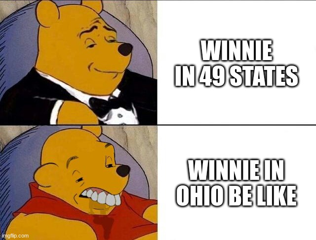 Tuxedo Winnie the Pooh grossed reverse | WINNIE IN 49 STATES; WINNIE IN OHIO BE LIKE | image tagged in tuxedo winnie the pooh grossed reverse | made w/ Imgflip meme maker