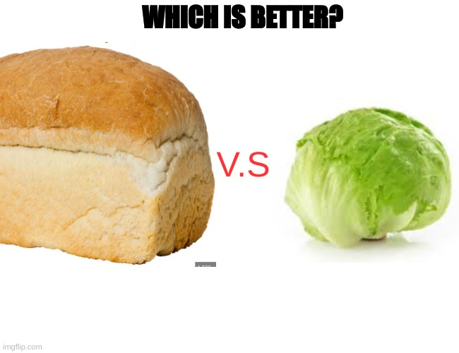 WHICH IS BETTER? V.S | image tagged in memes | made w/ Imgflip meme maker