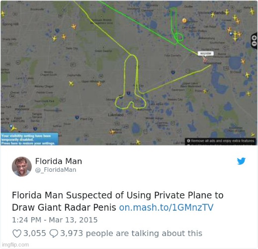 why | image tagged in florida man,cursed image | made w/ Imgflip meme maker