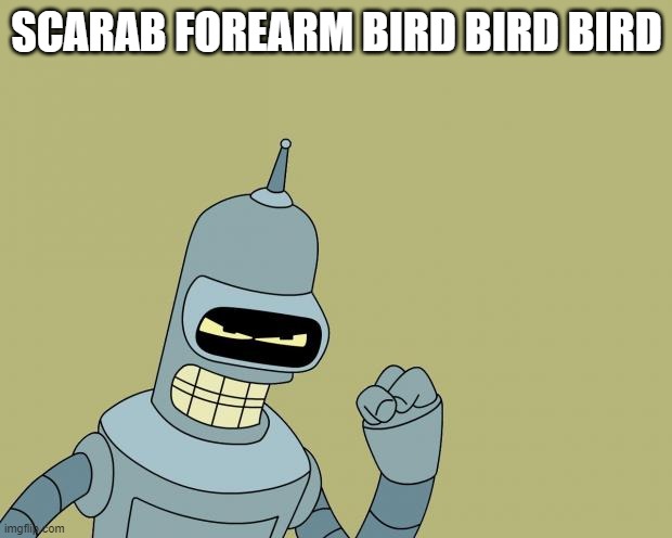 bender | SCARAB FOREARM BIRD BIRD BIRD | image tagged in bender | made w/ Imgflip meme maker