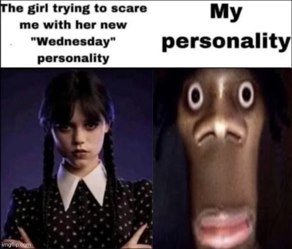 The girl trying to scare me with her new Wednesday personality | image tagged in the girl trying to scare me with her new wednesday personality,goofy ahh,ohio,quandale dingle,random,memes | made w/ Imgflip meme maker