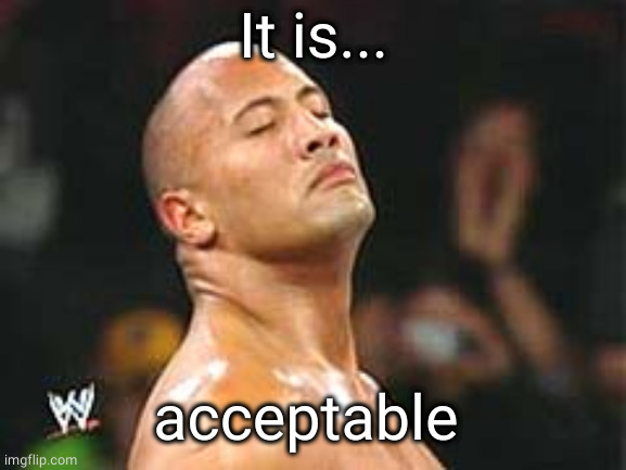 The Rock Smelling | It is... acceptable | image tagged in the rock smelling | made w/ Imgflip meme maker