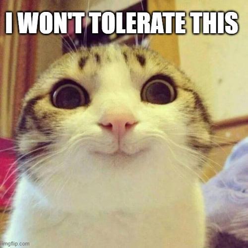 Smiling Cat | I WON'T TOLERATE THIS | image tagged in memes,smiling cat | made w/ Imgflip meme maker
