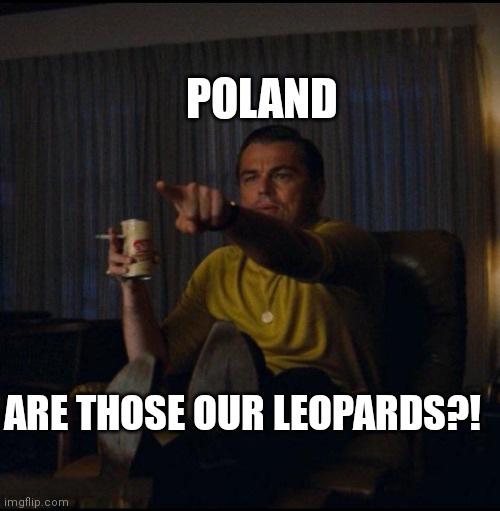 Leonardo DiCaprio Pointing | POLAND; ARE THOSE OUR LEOPARDS?! | image tagged in leonardo dicaprio pointing | made w/ Imgflip meme maker