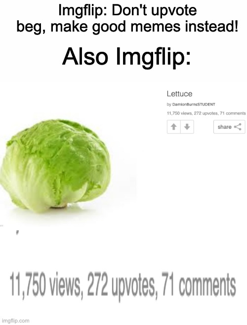 It is what it is, I guess | Imgflip: Don't upvote beg, make good memes instead! Also Imgflip: | image tagged in memes,funny,lettuce,imgflip | made w/ Imgflip meme maker