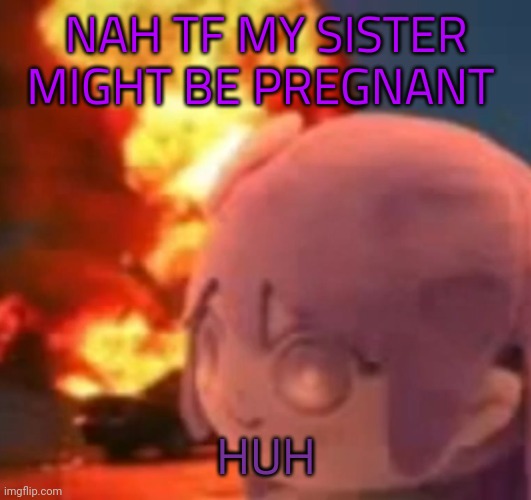 hi uh how are y'all ☠️ | NAH TF MY SISTER MIGHT BE PREGNANT; HUH | image tagged in msmg | made w/ Imgflip meme maker