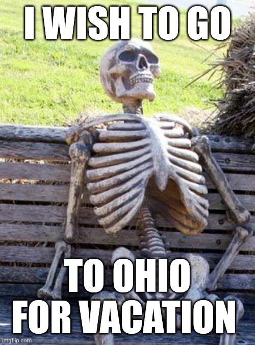 Bro | I WISH TO GO; TO OHIO FOR VACATION | image tagged in memes,waiting skeleton | made w/ Imgflip meme maker