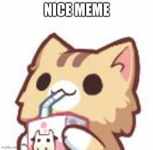 Unsee Juice kitty | NICE MEME | image tagged in unsee juice kitty | made w/ Imgflip meme maker