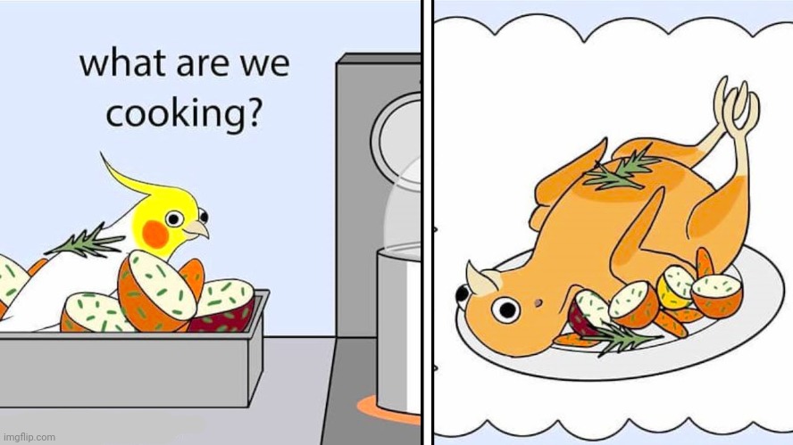 Bird food | image tagged in birds,bird,cooking,food,comics,comics/cartoons | made w/ Imgflip meme maker