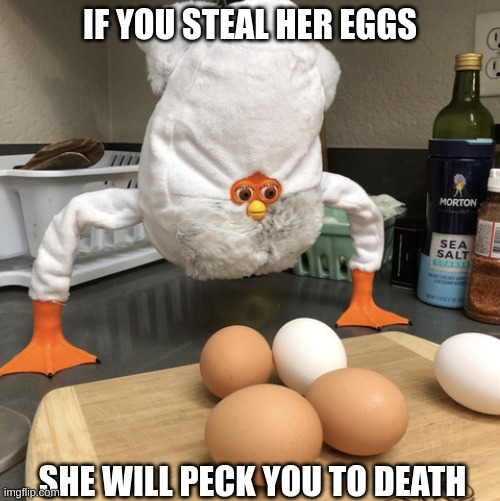 IF YOU STEAL HER EGGS; SHE WILL PECK YOU TO DEATH | image tagged in cursed image | made w/ Imgflip meme maker