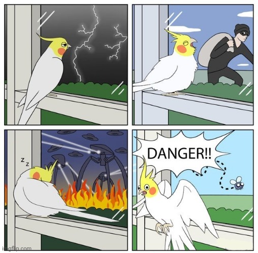 Danger | image tagged in birds,bird,danger,comics,comics/cartoons,fire | made w/ Imgflip meme maker