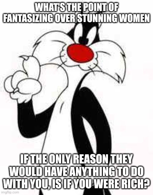 sylvester the cat making a point | WHAT'S THE POINT OF FANTASIZING OVER STUNNING WOMEN; IF THE ONLY REASON THEY WOULD HAVE ANYTHING TO DO WITH YOU, IS IF YOU WERE RICH? | image tagged in sylvester the cat making a point | made w/ Imgflip meme maker