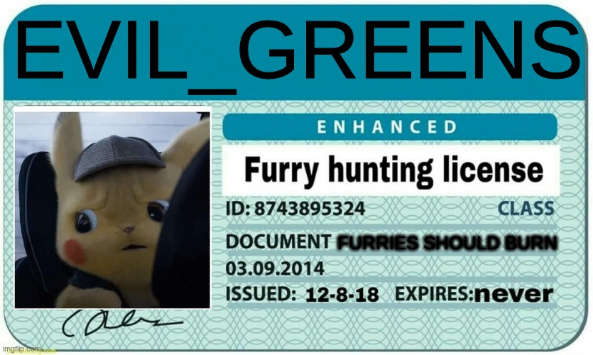 Pikachu | EVIL_GREENS; FURRIES SHOULD BURN | image tagged in furry hunting license | made w/ Imgflip meme maker