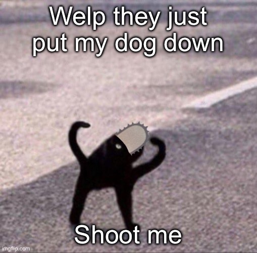 Dankchita | Welp they just put my dog down; Shoot me | image tagged in dankchita | made w/ Imgflip meme maker