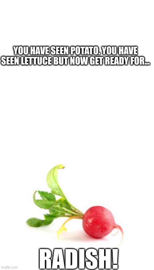 RADISH | YOU HAVE SEEN POTATO. YOU HAVE SEEN LETTUCE BUT NOW GET READY FOR... RADISH! | image tagged in blank square,radish | made w/ Imgflip meme maker