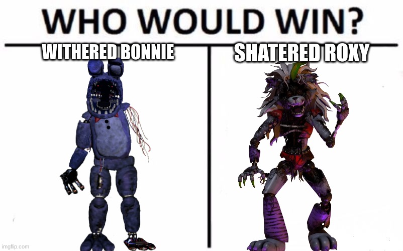 i think withered bonnie would win | WITHERED BONNIE; SHATERED ROXY | image tagged in memes,who would win | made w/ Imgflip meme maker