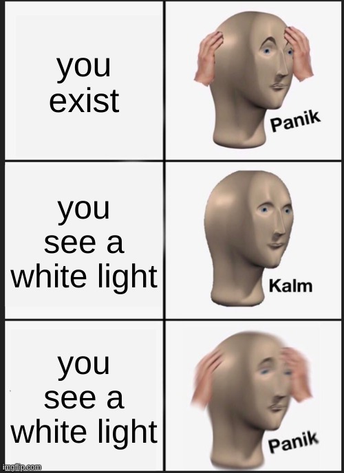 pov: you get died | you exist; you see a white light; you see a white light | image tagged in memes,panik kalm panik | made w/ Imgflip meme maker