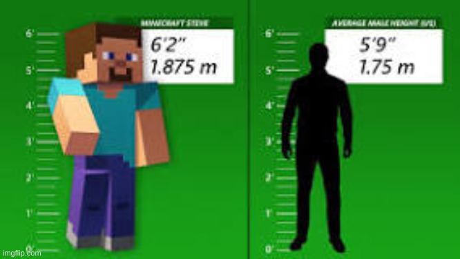 Is full name is Steve Stonecutter | image tagged in minecraft | made w/ Imgflip meme maker