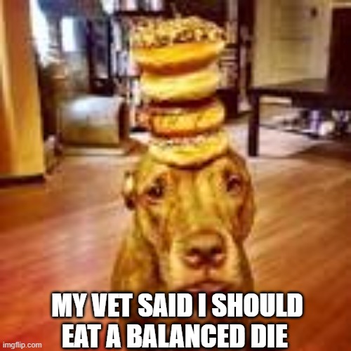Balance | MY VET SAID I SHOULD EAT A BALANCED DIE | image tagged in donuts,balance,dog | made w/ Imgflip meme maker