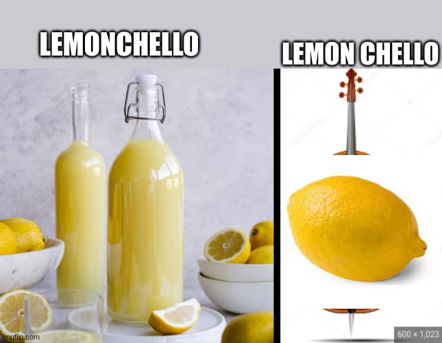 LEMON CHELLO; LEMONCHELLO | image tagged in lemonchello,funny,memes,chello,lemon | made w/ Imgflip meme maker