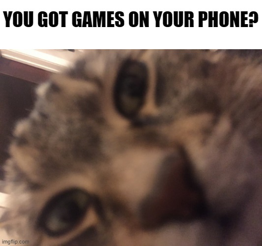 Cat stare | YOU GOT GAMES ON YOUR PHONE? | image tagged in cat stare,amongus | made w/ Imgflip meme maker