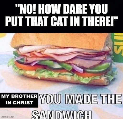 Brother in Christ Subway | "NO! HOW DARE YOU PUT THAT CAT IN THERE!" | image tagged in brother in christ subway | made w/ Imgflip meme maker