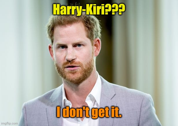 Duh. | Harry-Kiri??? I don't get it. | made w/ Imgflip meme maker