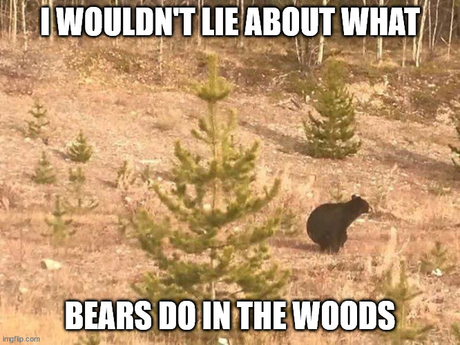 Bears shit in woods | I WOULDN'T LIE ABOUT WHAT BEARS DO IN THE WOODS | image tagged in bears shit in woods | made w/ Imgflip meme maker