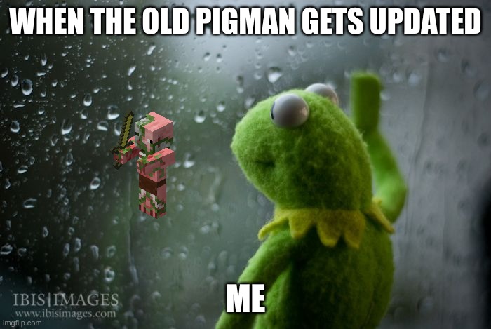 if miss the old pigman | WHEN THE OLD PIGMAN GETS UPDATED; ME | image tagged in kermit window | made w/ Imgflip meme maker