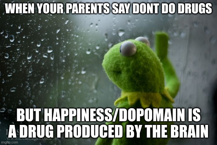 kermit window | WHEN YOUR PARENTS SAY DONT DO DRUGS; BUT HAPPINESS/DOPOMAIN IS A DRUG PRODUCED BY THE BRAIN | image tagged in kermit window | made w/ Imgflip meme maker