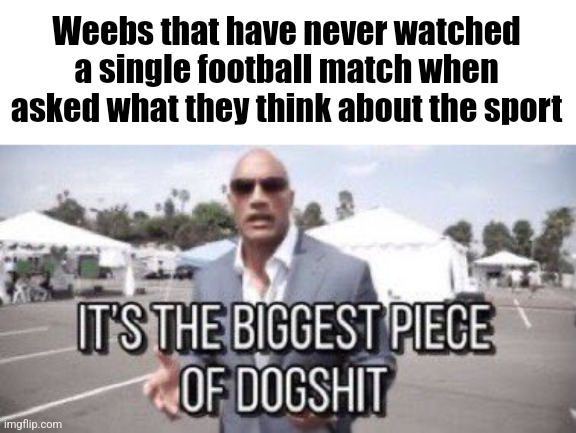 They've probably never heard of Inazuma Eleven or Captain Tsubasa | Weebs that have never watched a single football match when asked what they think about the sport | image tagged in it's the biggest piece of dogshit | made w/ Imgflip meme maker