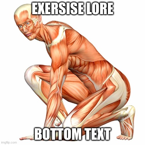 human body | EXERSISE LORE; BOTTOM TEXT | image tagged in human body | made w/ Imgflip meme maker