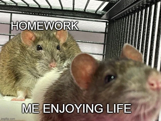 HOMEWORK; ME ENJOYING LIFE | made w/ Imgflip meme maker