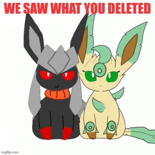 Redceon And Leafe by Sylceon | WE SAW WHAT YOU DELETED | image tagged in redceon and leafe by sylceon | made w/ Imgflip meme maker