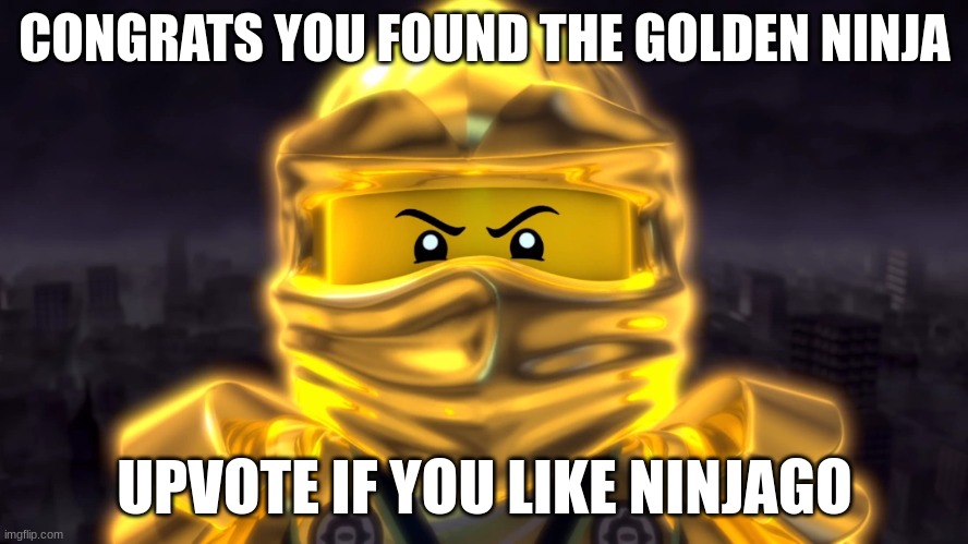 how long have you been flipping??! | CONGRATS YOU FOUND THE GOLDEN NINJA; UPVOTE IF YOU LIKE NINJAGO | image tagged in golden ninja | made w/ Imgflip meme maker