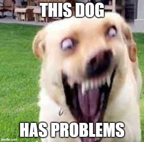 THIS DOG; HAS PROBLEMS | made w/ Imgflip meme maker