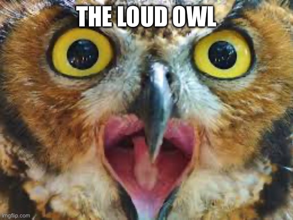 THE LOUD OWL | made w/ Imgflip meme maker