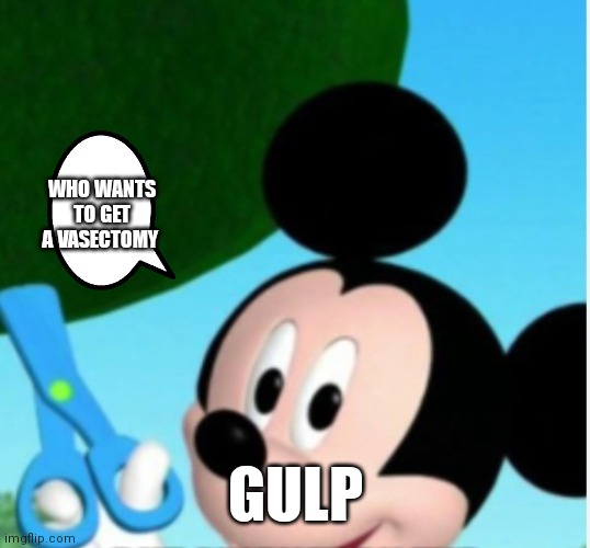 If so then Mickey will be willing to do it | WHO WANTS TO GET A VASECTOMY; GULP | image tagged in funny memes | made w/ Imgflip meme maker