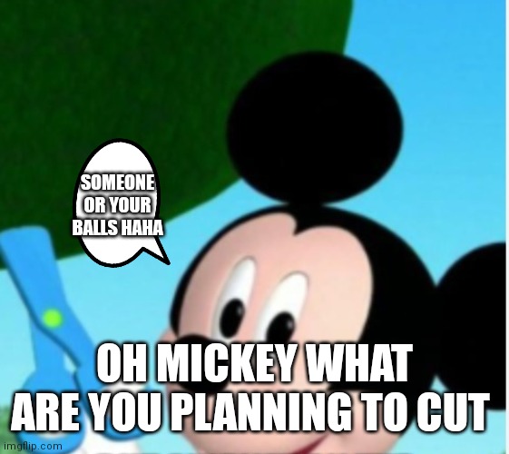 Your balls haha | SOMEONE OR YOUR BALLS HAHA; OH MICKEY WHAT ARE YOU PLANNING TO CUT | image tagged in funny memes | made w/ Imgflip meme maker