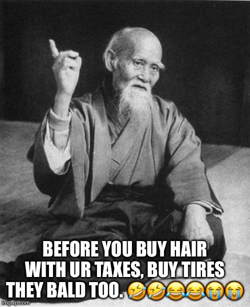 Wise man says | BEFORE YOU BUY HAIR WITH UR TAXES, BUY TIRES THEY BALD TOO. 🤣🤣😂😂😭😭 | image tagged in wise master | made w/ Imgflip meme maker